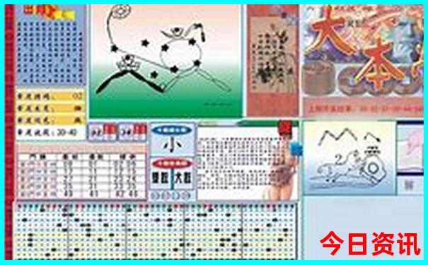 澳门一码免大公开